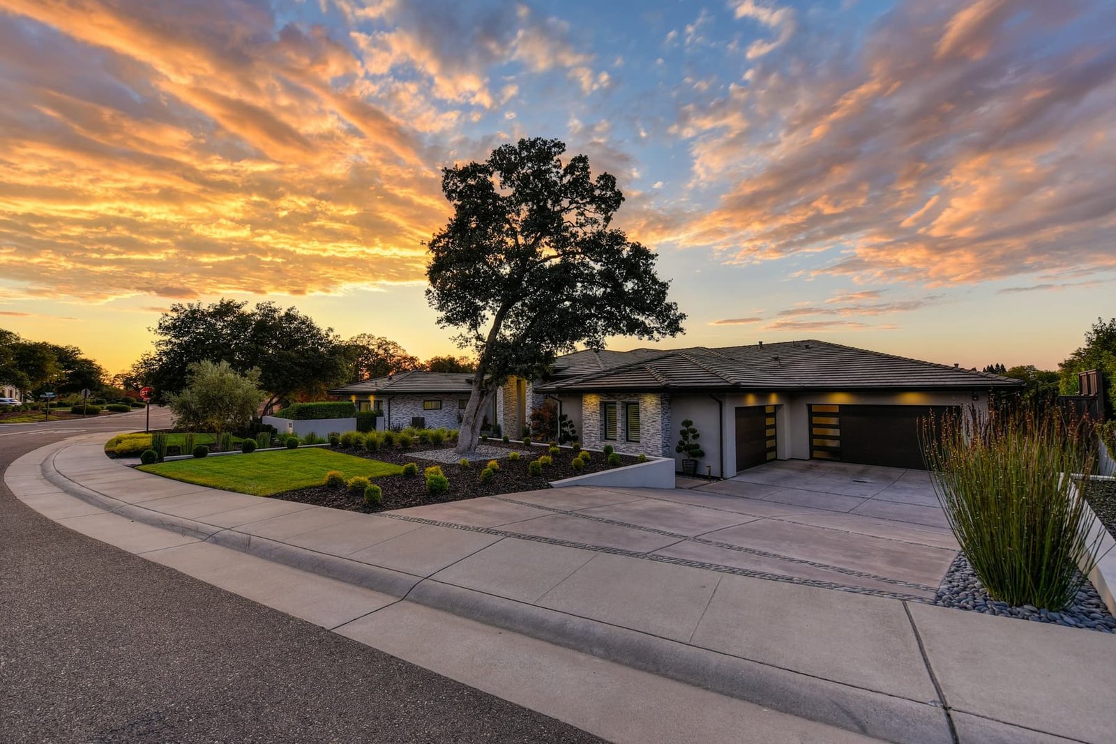 A single-storey house under a broad tree at sunset